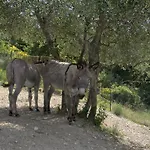 Отель типа 